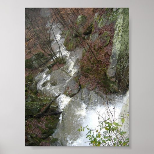 トップ滝 ポスター (正面)