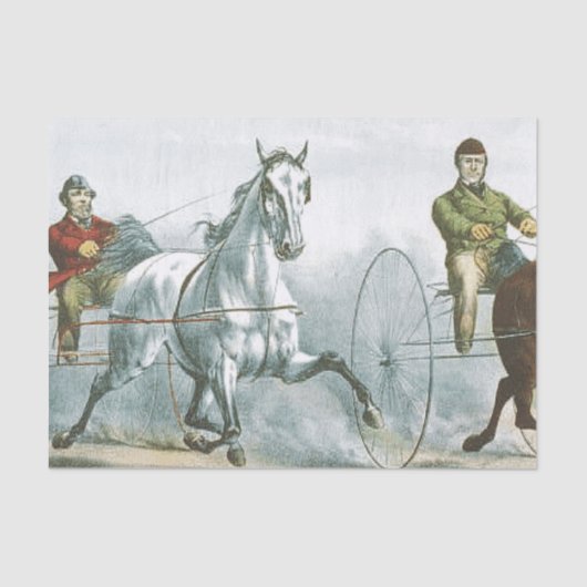 トップ·ホース·ペトリー 薄葉紙 (正面)