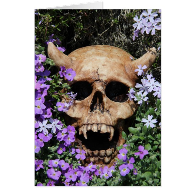 トテンコフ – ゴシック/カルテ (正面)