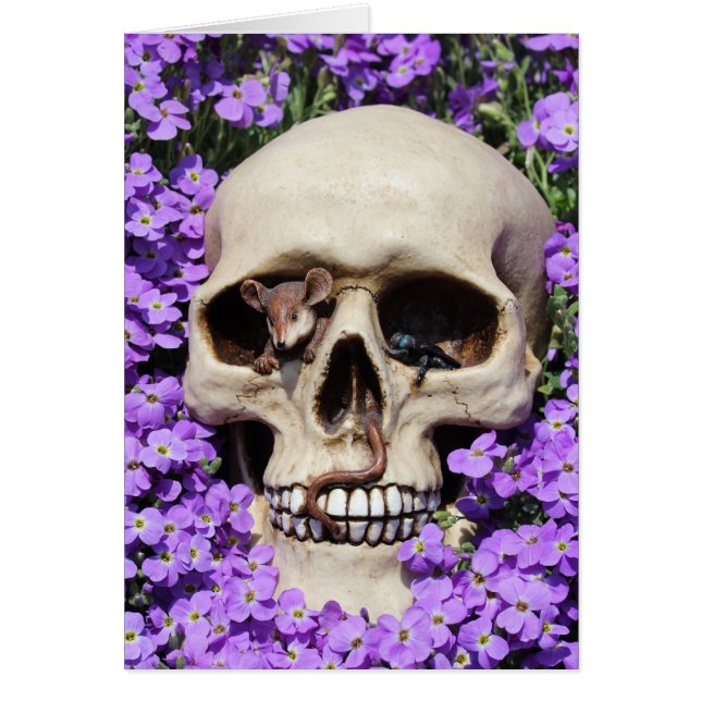 トテンコフ – ゴシック/カルテ (正面)