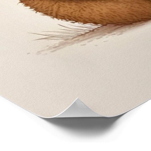 トディ・ベア ポスター (角)