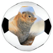 トデイズフルボール サッカーボール (回転)