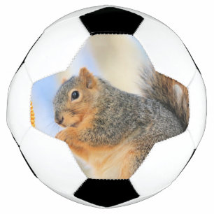 トデイズフルボール サッカーボール