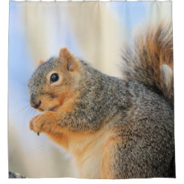 トデイズフルボール シャワーカーテン