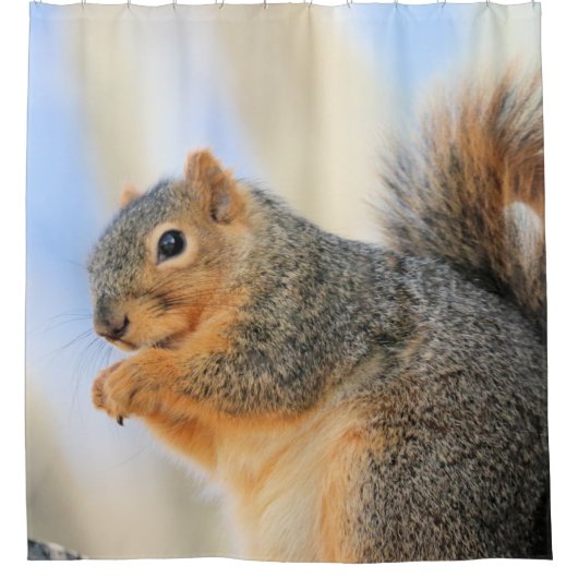 トデイズフルボール シャワーカーテン (正面)