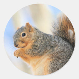 トデイズフルボール ラウンドシール