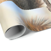 トデイズフルボール ラッピングペーパー (ロールコーナー)