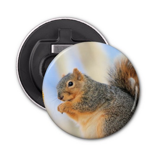 トデイズフルボール 栓抜き (正面)