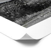 「トト来!!」 ポスター (角)