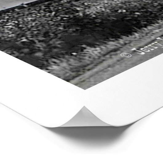 「トト来!!」 ポスター (角)