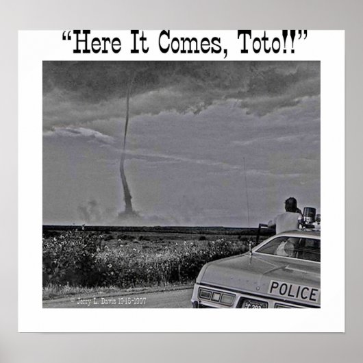 「トト来!!」 ポスター (正面)