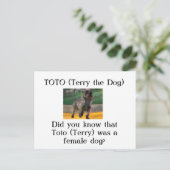 トト（犬テリー） ポストカード (スタンド正面)
