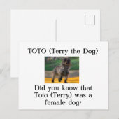 トト（犬テリー） ポストカード (正面/裏面)