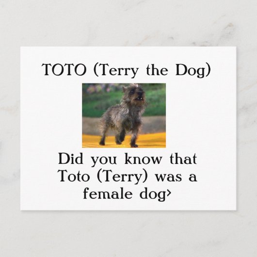トト（犬テリー） ポストカード (正面)