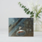 トドラーオポッサム1 ポストカード (スタンド正面)