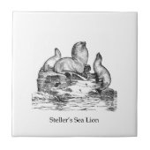 トド タイル (正面)