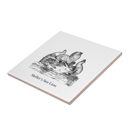 トド タイル (側面)