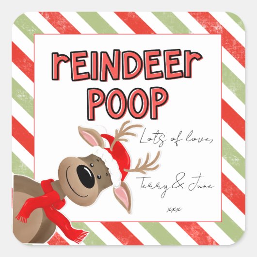 トナカイおもしろいウンチクリスマスビーフホリデーバッグ スクエアシール (正面)