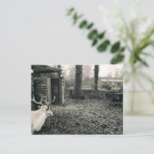 トナカイおよびそりの白黒写真 ポストカード (スタンド正面)