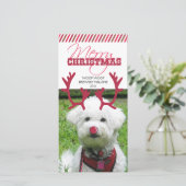 トナカイのアントラー&レッドノーズペットのクリスマス！ シーズンカード (スタンド正面)