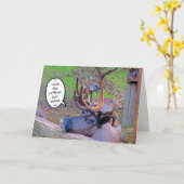 トナカイのカフェインがカードで蹴られる カード (黄色い花)