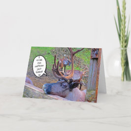 トナカイのカフェインがカードで蹴られる カード