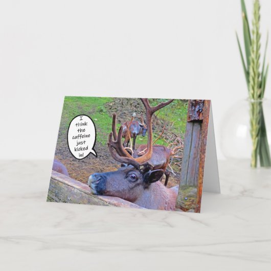 トナカイのカフェインがカードで蹴られる カード (正面)