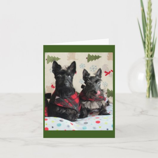 トナカイのカードって何？ カード (正面)