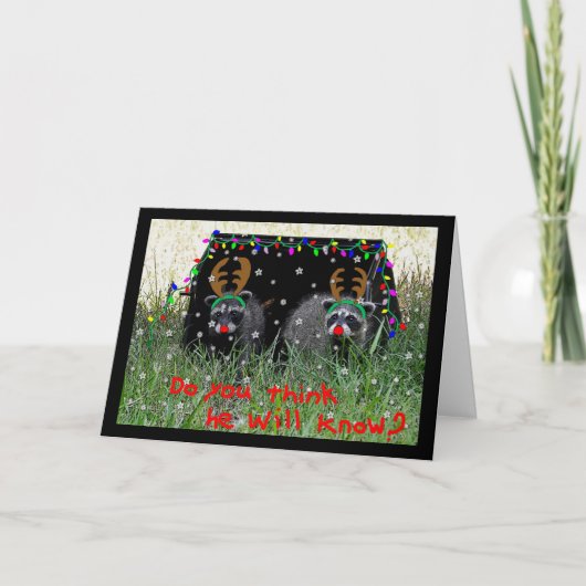 トナカイのクリスマスカード シーズンカード (正面)