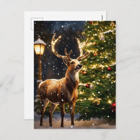 トナカイのクリスマス シーズンポストカード (正面/裏面)