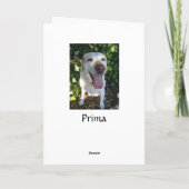 トナカイのプリマ シーズンカード (裏面)