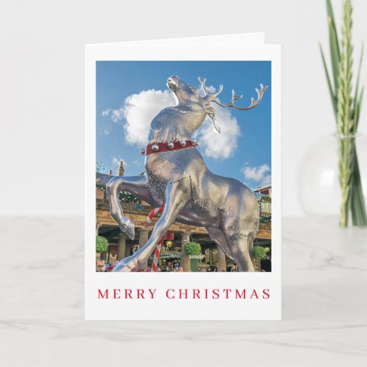 トナカイのモデルビュークリスマスカード シーズンカード (正面)