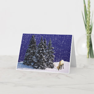 トナカイのルドルフ シーズンカード