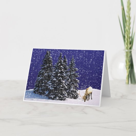 トナカイのルドルフ シーズンカード (正面)