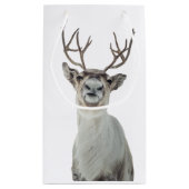 トナカイの写真 スモールペーパーバッグ (裏面)