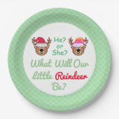 トナカイの性別の暴露 ペーパープレート (正面)