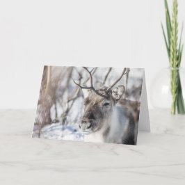 トナカイの折り畳みグリーティングカード カード
