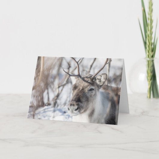 トナカイの折り畳みグリーティングカード カード (正面)