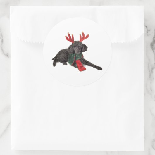 トナカイの服を着たクリスマスブラックトイプードル犬 ラウンドシール (バッグ)