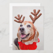 トナカイの耳にフェスティバルのビーグル犬 シーズンカード (正面/裏面)