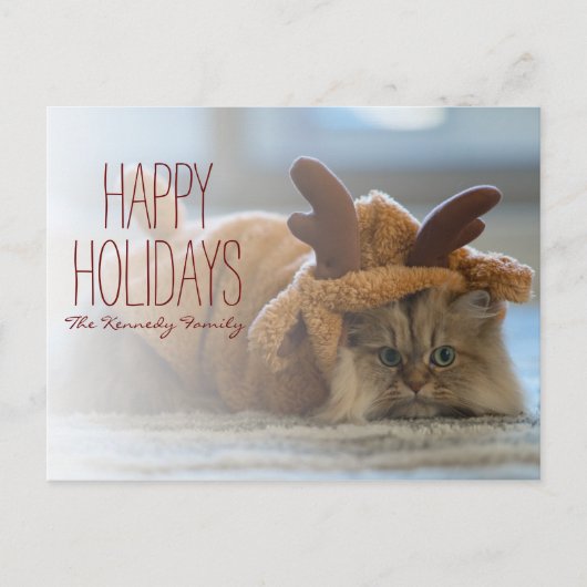 トナカイの衣装を着たペルシャ猫 シーズンポストカード (正面)