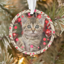 トナカイの記念写真年