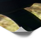 トナカイの野生生物 ポスター (角)