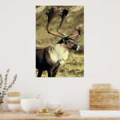 トナカイの野生生物 ポスター (キッチン)