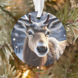 トナカイの魔法：サンタのロイヤルコンパニオンのクローズアップ オーナメント