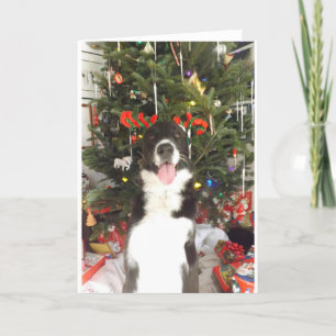 トナカイの(雄ジカの)枝角犬のクリスマスカード シーズンカード
