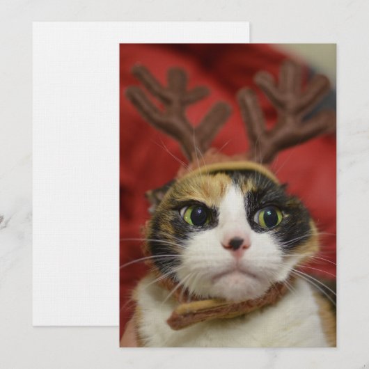 トナカイの〔雄ジカの〕枝角 (正面/裏面)