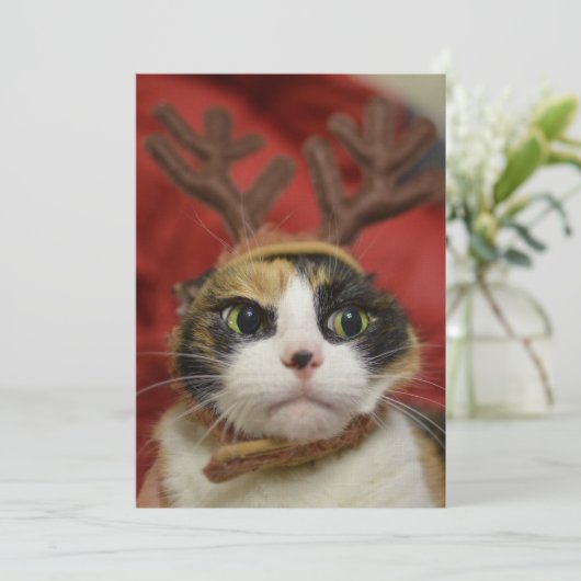 トナカイの〔雄ジカの〕枝角 (スタンド正面)