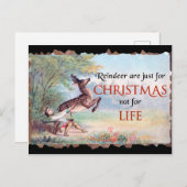 トナカイはクリスマスヴィンテージの詐欺 ポストカード (正面/裏面)