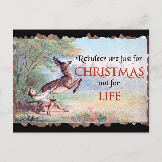 トナカイはクリスマスヴィンテージの詐欺 ポストカード (正面)